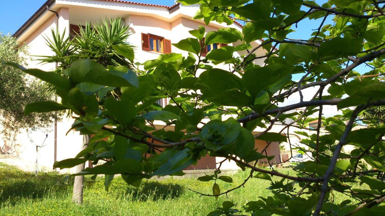 Borgo Marinaro Bed and Breakfast Marina di Camerota Εξωτερικό φωτογραφία